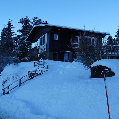 Gite "Les Essis" Gérardmer Exterior foto